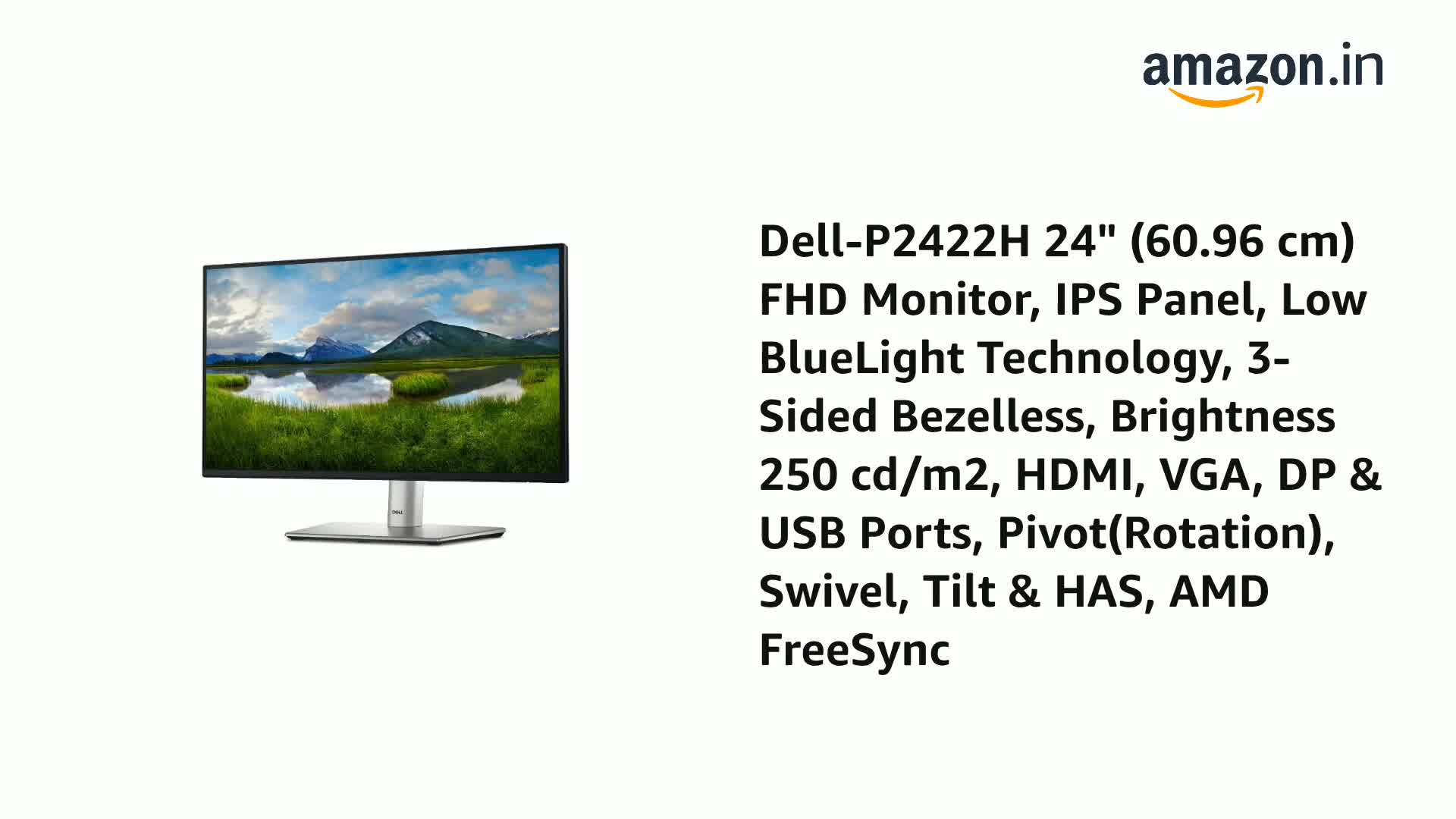 Dell-P2422H 24